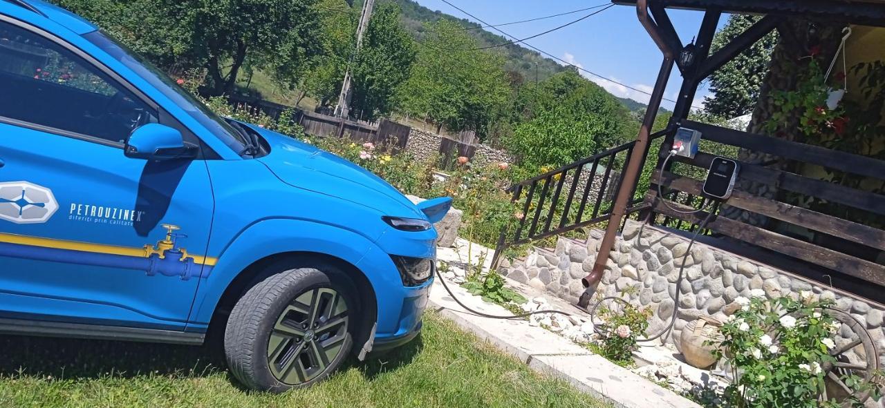 Pensiunea Gradinarilor Cu Ciubar Si Statie De Incarcare Electrica Auto Comanesti  Exterior foto